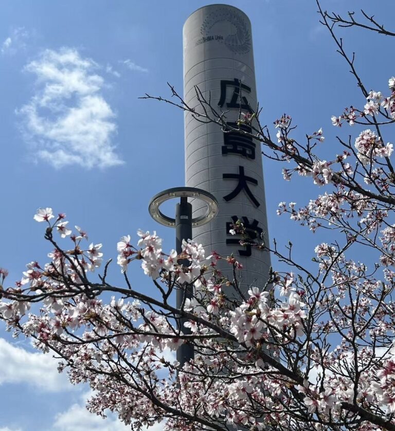 7987ad48878957a29ab158c6d54d84c5